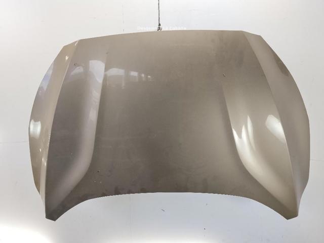 Capó delantero Ford Focus IV (2018-2026)