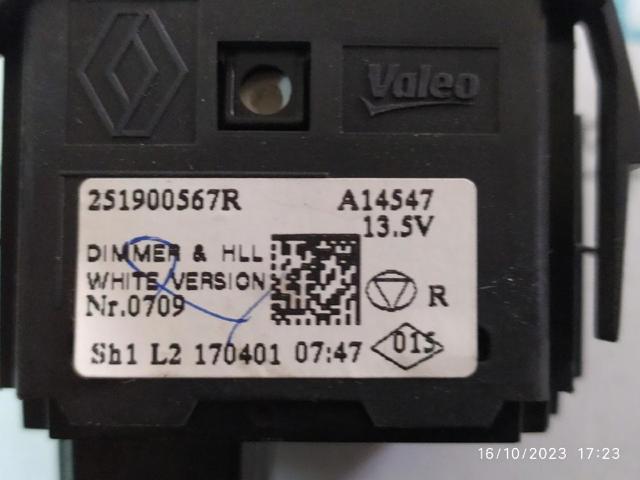 251900567R Renault (RVI)