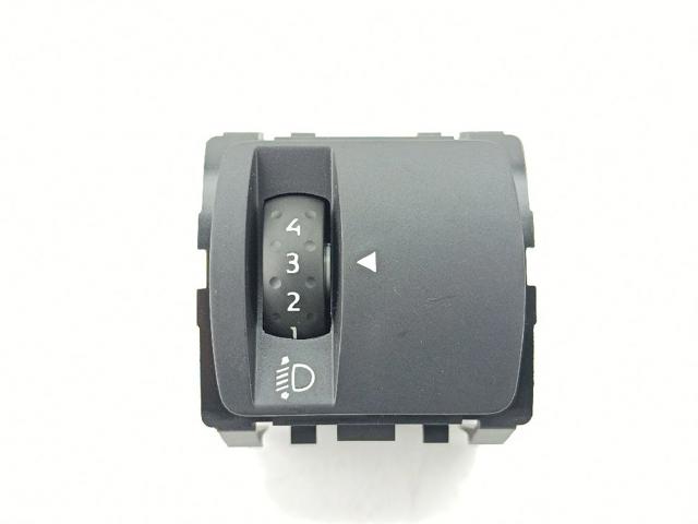 251902972R Renault (RVI)