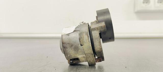 252812A000 Tensor de correa poli V  en stock Sabadell