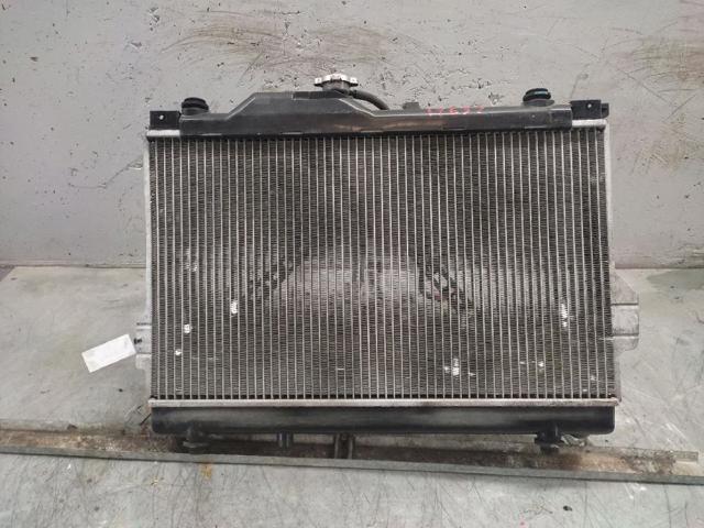 2531017800 Radiador de refrigeración del motor  disponible Burgos