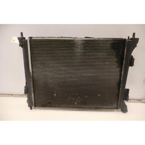 253101RXXX Radiador  en stock Granada