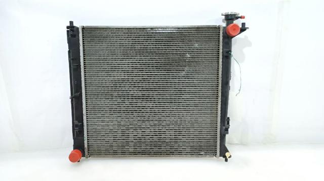 253102Y000 Radiador de refrigeración del motor  comprar en Pontevedra