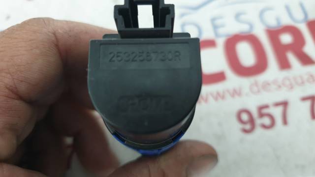 253256730R Interruptor de embrague  en stock Sabadell