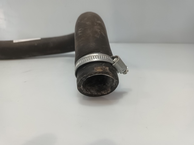 Manguera de radiador arriba 254112E100 HYUNDAI