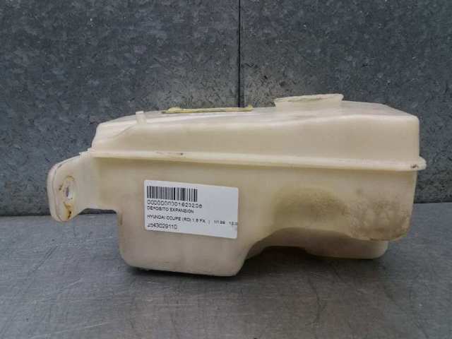 2543029110 Hyundai/Kia