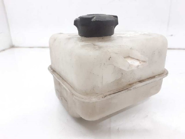 254302S000 HYUNDAI Vaso de expansión comprar Madrid