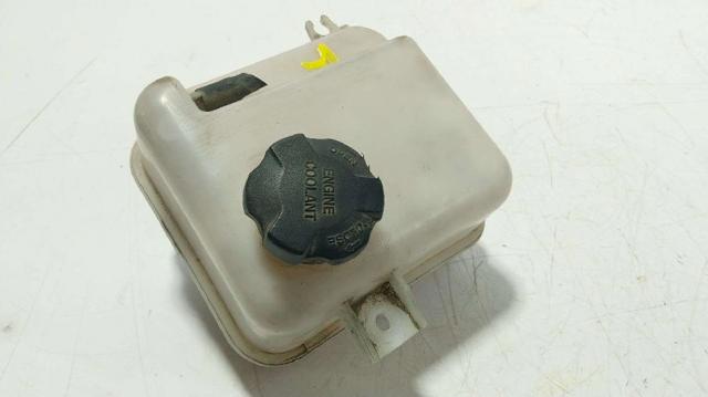 254302S000 HYUNDAI Vaso de expansión comprar Madrid