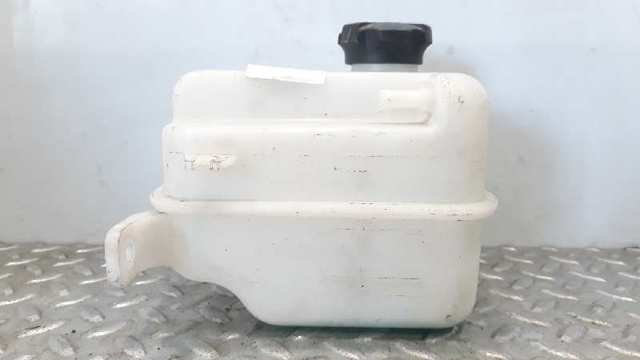 254302S000 HYUNDAI Vaso de expansión  en stock Córdoba