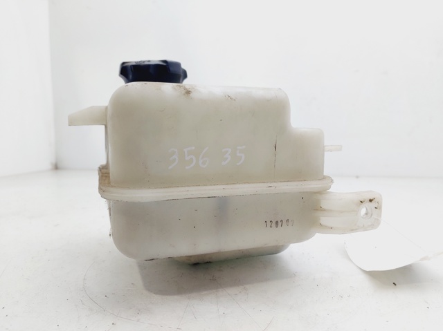 HYUNDAI 254302S000 Vaso de expansión comprar Barcelona