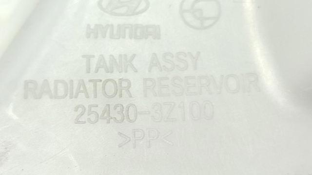 254302S000 Depósito de expansión del sistema de refrigeración  disponible Burgos