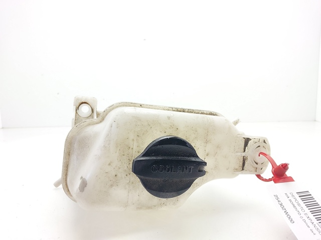 254302W000 Hyundai/Kia