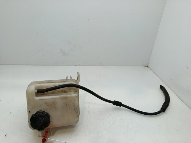 Botella expansion KIA Carens  desde 42,11 €