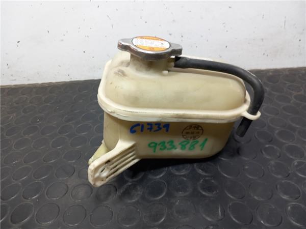 Botella de refrigeración 254312H100 Hyundai/Kia