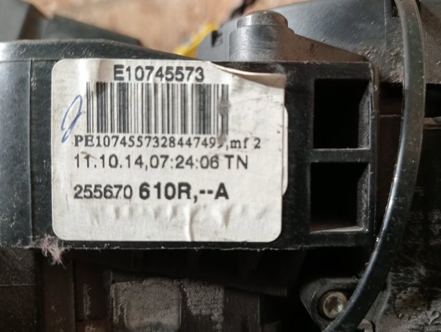 255670610R Renault (RVI)