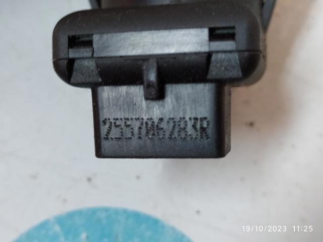 RENAULT 255706283R Módulo de espejos retrovisores en la puerta  comprar en Murcia