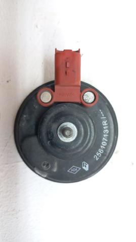 256107131R Renault (RVI)