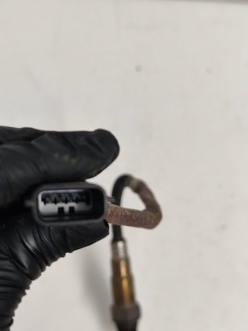 RENAULT 258010062 Sensor de oxígeno previo al catalizador  comprar en Albacete