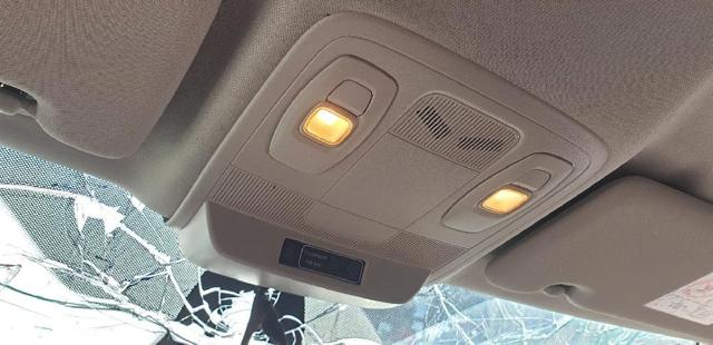264301419R Luz de techo interior (cabina) comprar Sevilla