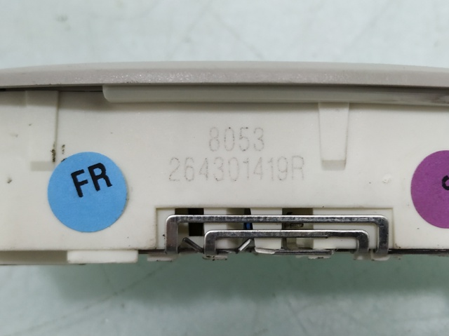 264301419R Renault (RVI)