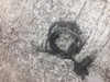 Sensor de freno, delantero 265006200 PEUGEOT
