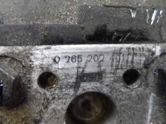 265202401 VAG
