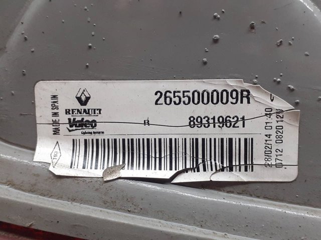 265500009R Renault (RVI)
