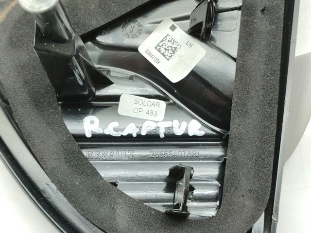 265555726R Piloto trasero interior izquierdo  comprar en Zaragoza