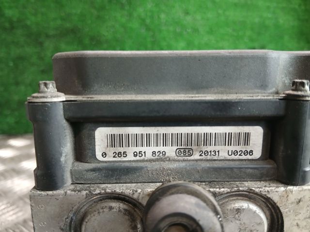 265951829 Peugeot/Citroen