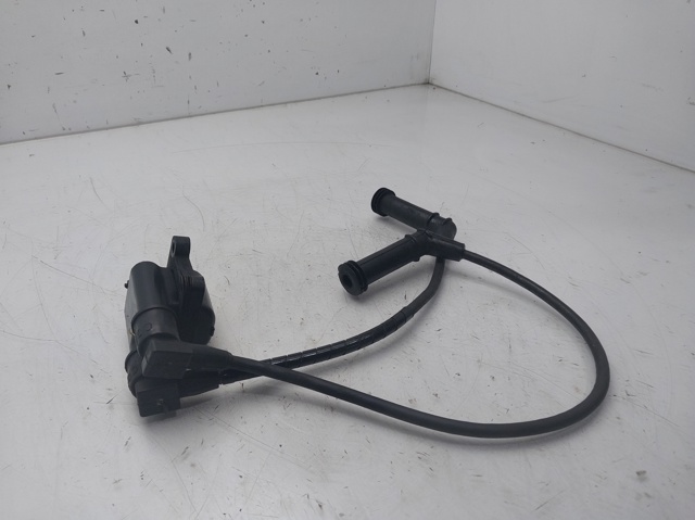 2730102700 HYUNDAI Bobina comprar Madrid