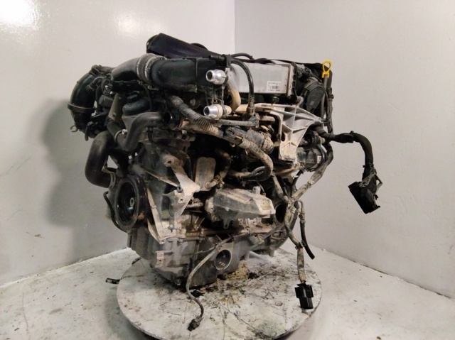 274920 Mercedes