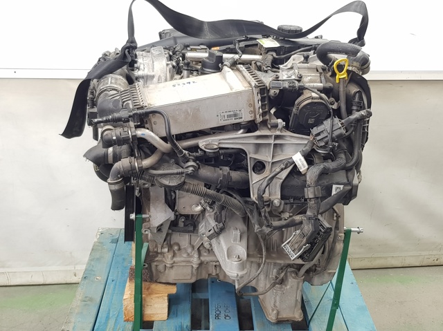 274920 Mercedes