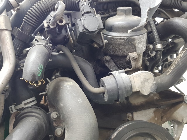 274920 Mercedes