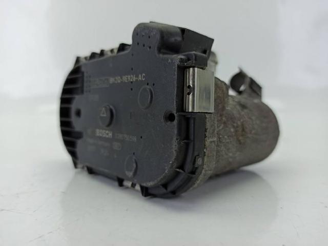 280750598 Cuerpo de mariposa  en stock Sabadell
