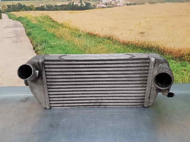 Radiador de aire, intercooler KIA Carnival III (VQ)