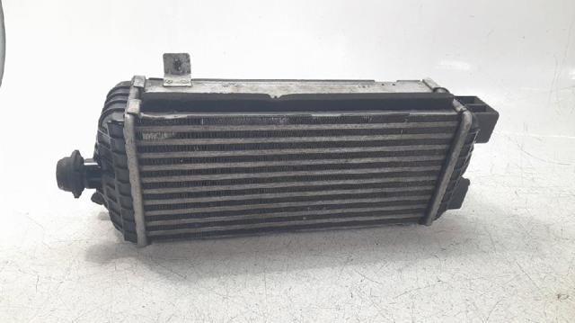 Enfriador de aire de admisión para KIA Sportage IV (QL)