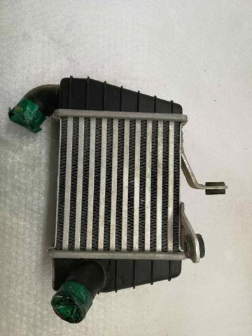 Radiador de intercooler Hyundai Getz  (2002-2011)