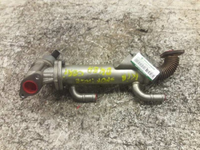 Enfriador EGR de recirculación de gases de escape Hyundai Santa Fe 2 CM