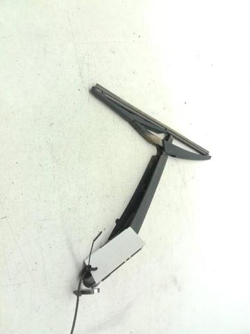 287815304R Brazo del limpiaparabrisas trasero  disponible Burgos