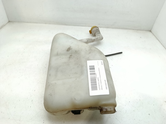 289100014R RENAULT Depósito de limpiaparabrisas  en stock Gandía