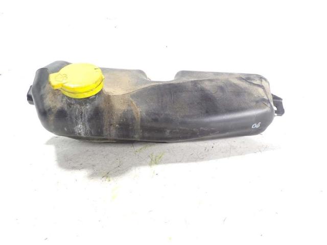 289101168R Renault (RVI)