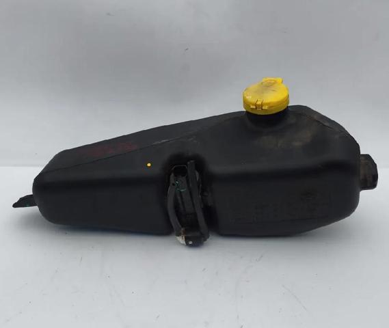 289101168R Depósito de líquido limpiaparabrisas  disponible Burgos