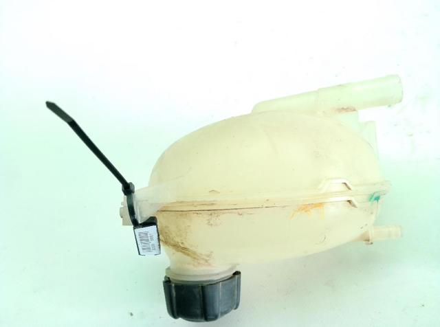 289101168R Renault (RVI)