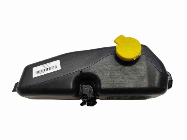 289101168R RENAULT Depósito de líquido limpiaparabrisas  comprar en Oviedo