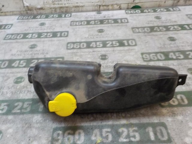 289101168R Renault (RVI)