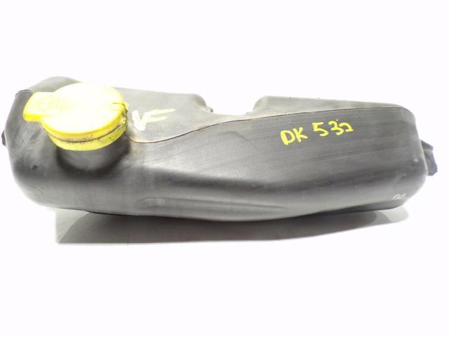 289101168R Renault (RVI)