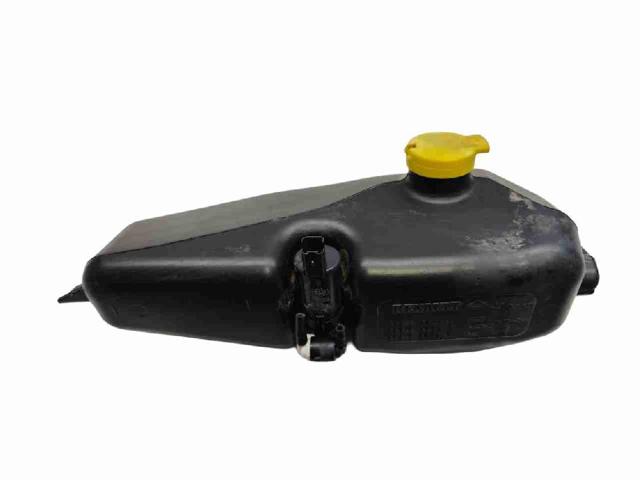 RENAULT 289101168R Depósito de líquido limpiaparabrisas  comprar en Ponferrada