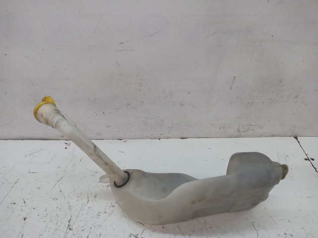 289104118R Renault (RVI)