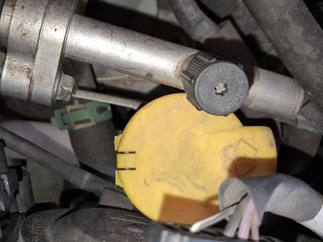 289104118R Renault (RVI)