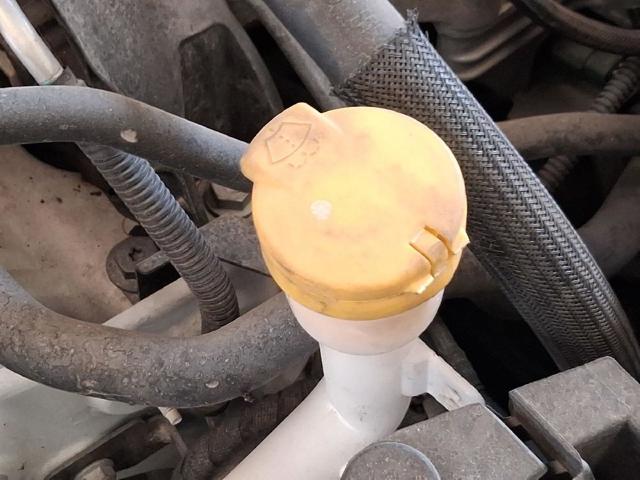 289104294R Renault (RVI)